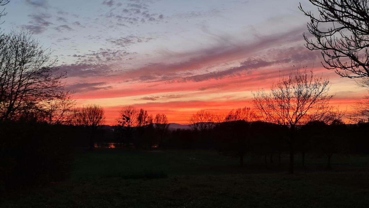 Villa Wohnstrasse Kassel Zewnętrze zdjęcie